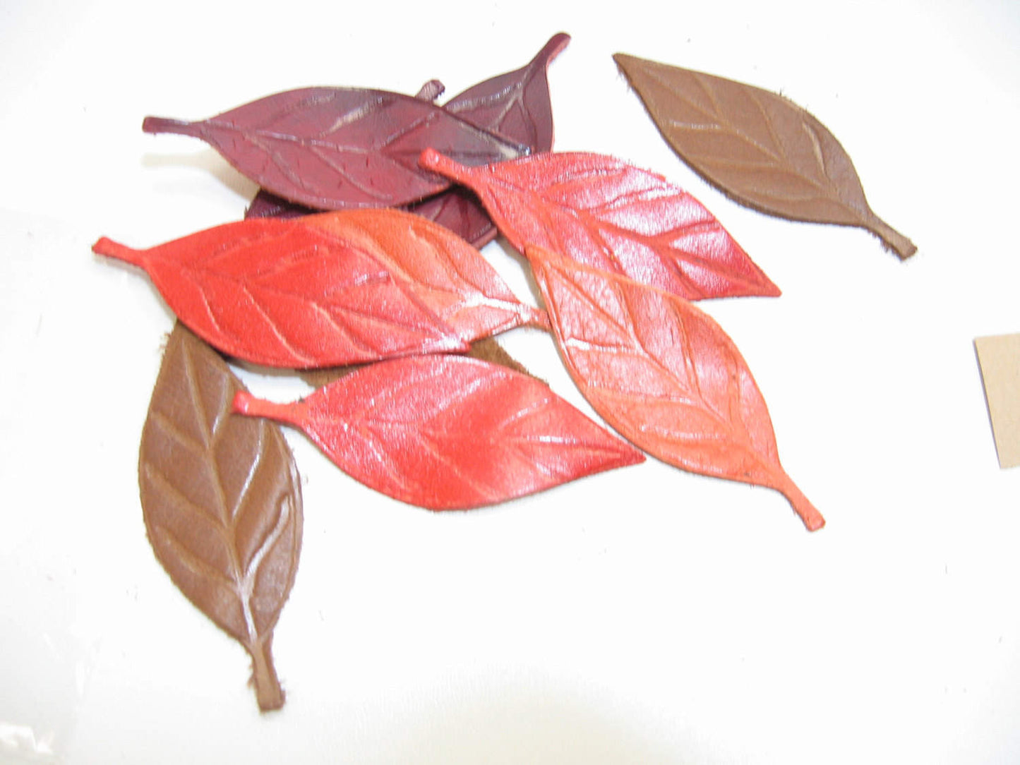 Leather Die Cut Leaf Shapes with Veins in Various Colors (12 pieces) Lots 6-10 Autumn Leaves, Fall Foliage, Leaf Lot